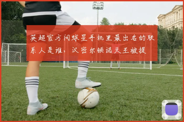 英超官方问球星手机里最出名的联系人是谁，汉密尔顿诺天王被提