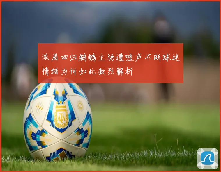 浓眉回归鹈鹕主场遭嘘声不断球迷情绪为何如此激烈解析