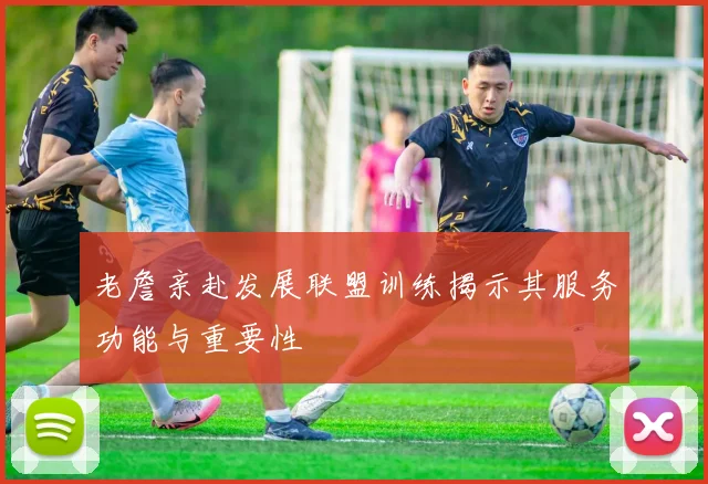老詹亲赴发展联盟训练揭示其服务功能与重要性