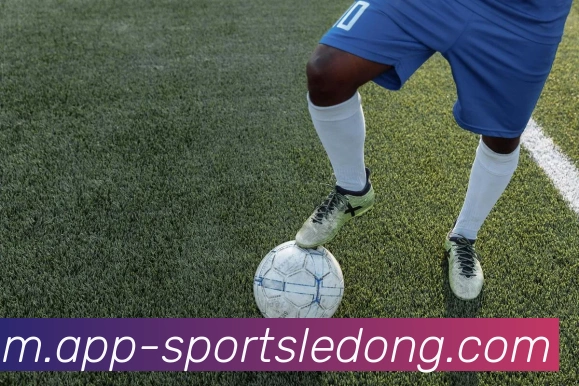 乐动体育APP 封面图