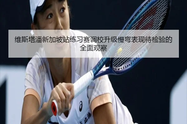维斯塔潘新加坡站练习赛调校升级慢弯表现待检验的全面观察（LDSPORTS）